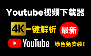 DLNow Video Downloader油管视频下载软件，Youtube视频下载工具，支持4K画质下载